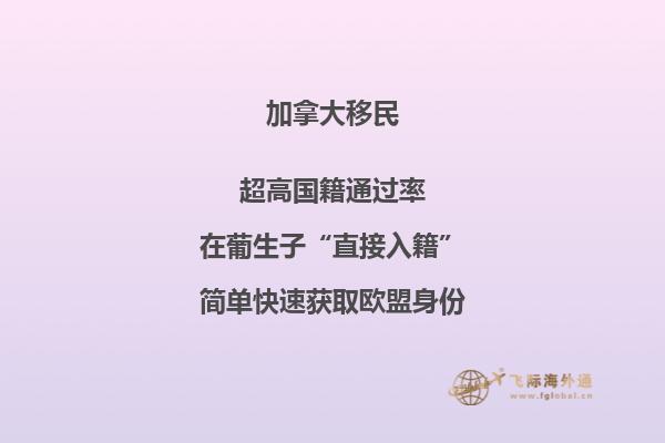 加拿大大西洋四省申請條件，你符合以下條件嗎？