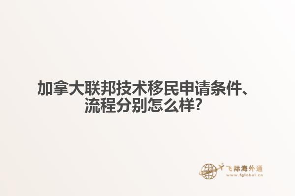 加拿大聯(lián)邦技術移民申請條件、流程分別怎么樣？