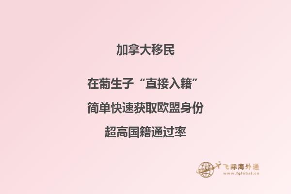 加拿大魁省投資移民適合哪些人，申請周期要多久？