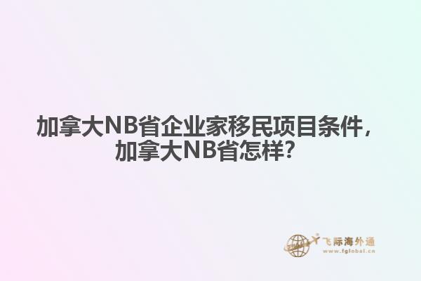 加拿大NB省企業(yè)家移民項(xiàng)目條件，加拿大NB省怎樣？