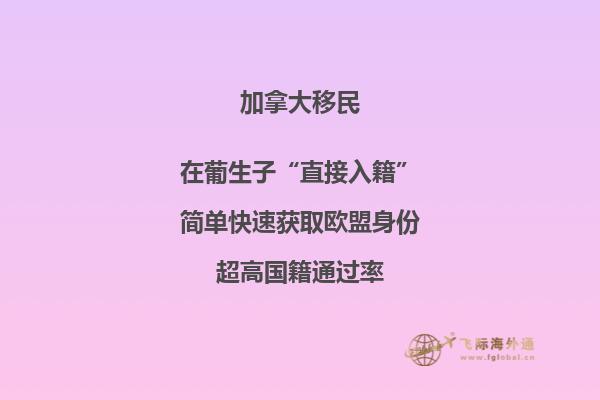 加拿大魁省投資移民需要多少錢，移民政策是什么？