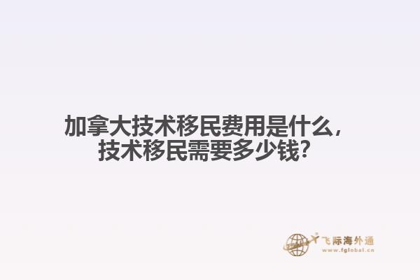 加拿大技術(shù)移民費(fèi)用是什么，技術(shù)移民需要多少錢？