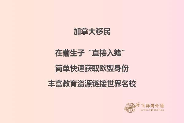 加拿大移民政策再傳利好，或新增“市提名”計劃！
