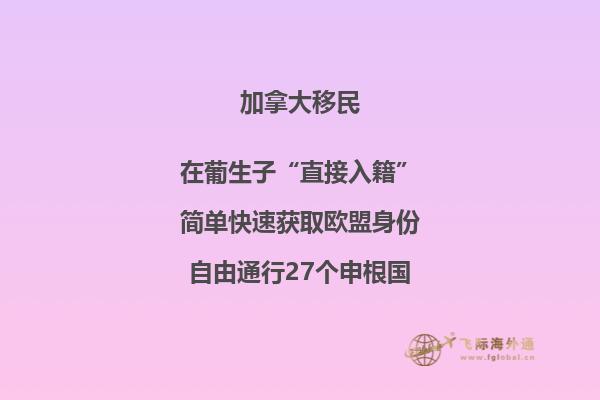加拿大安省技術(shù)移民項目，哪種方式更適合你？