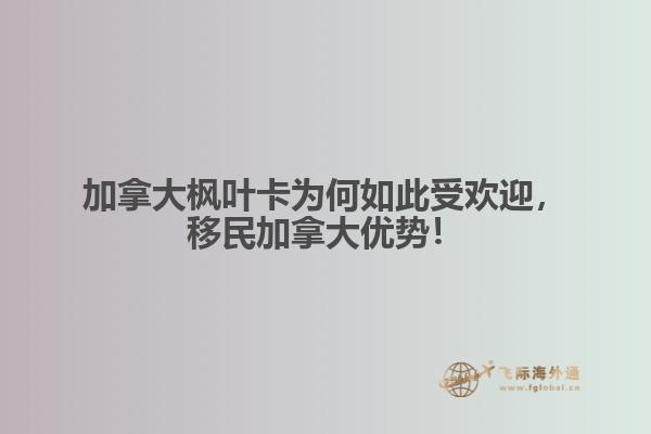 加拿大楓葉卡為何如此受歡迎，移民加拿大優(yōu)勢(shì)！