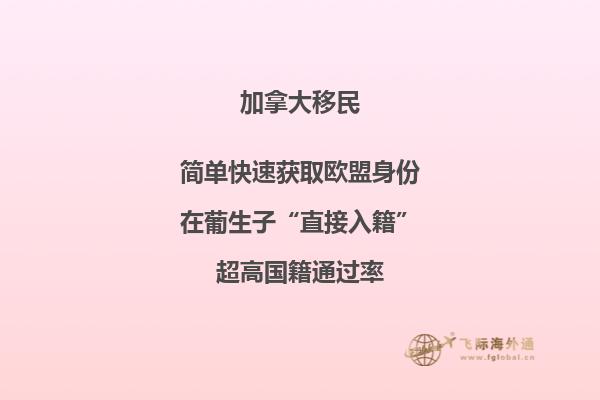加拿大安省留學(xué)移民條件，流程怎么樣？