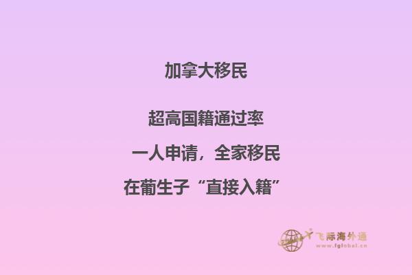 加拿大“市提名移民”即將上線，2020加拿大移民趨勢如何？
