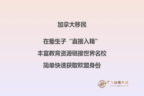 加拿大投資移民風險匯總，要避開哪些陷阱？ 