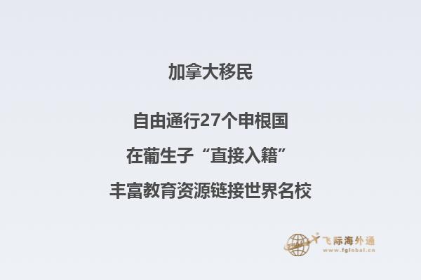 加拿大NB省企業(yè)家移民申請條件如何，你能申請嗎？