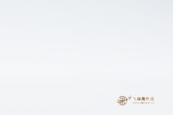 秋天的樹(shù)