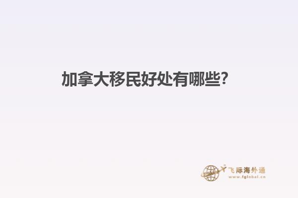 城堡類(lèi)型的房子