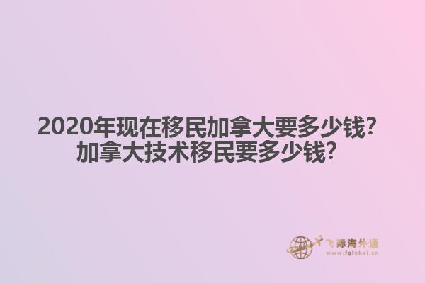 樹邊的自行車