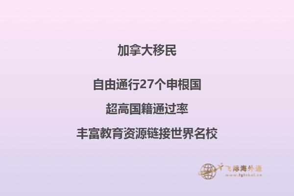 移民局背調(diào)電話注意事項，應對移民局背景調(diào)查方法