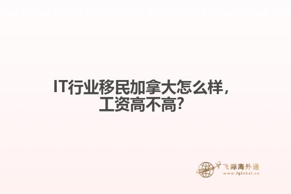 IT行業(yè)移民加拿大怎么樣，工資高不高？