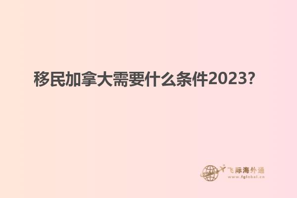 移民加拿大需要什么條件2023？