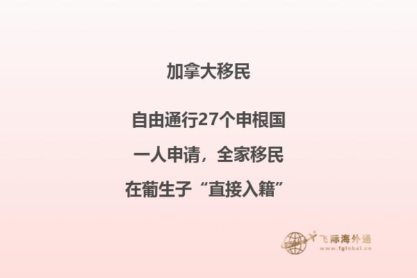 加拿大麥吉爾大學相當于中國的什么大學