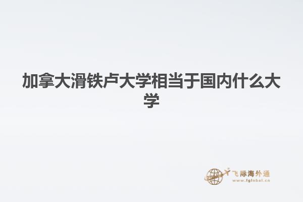 加拿大滑鐵盧大學相當于國內什么大學