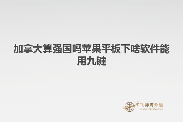 加拿大算強(qiáng)國嗎蘋果平板下啥軟件能用九鍵