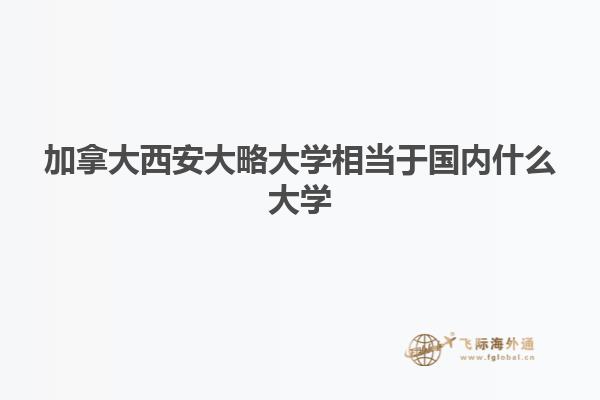加拿大西安大略大學相當于國內什么大學