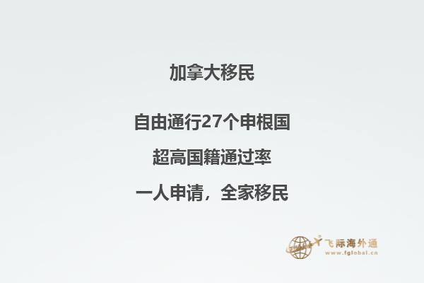 加拿大有哪些大學排名世界前100名