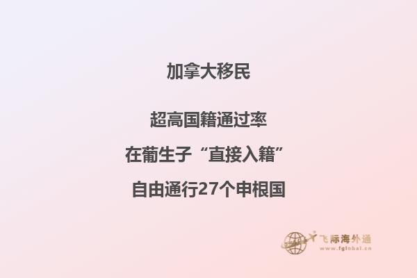 美國(guó)和加拿大的關(guān)系那年開始親密接觸