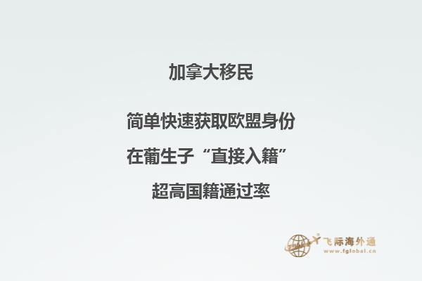 加拿大和美國的關系有什么獨特之處