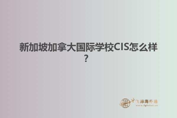 新加坡加拿大國際學校CIS怎么樣？