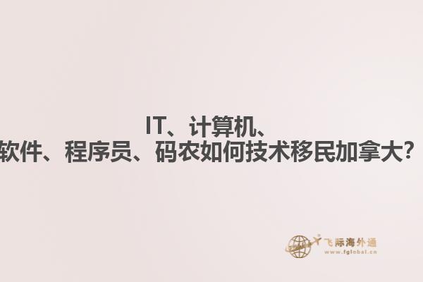 IT、計(jì)算機(jī)、軟件、程序員、碼農(nóng)如何技術(shù)移民加拿大？