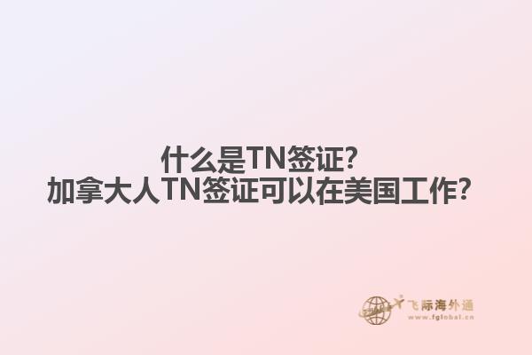 什么是TN簽證？加拿大人TN簽證可以在美國工作？