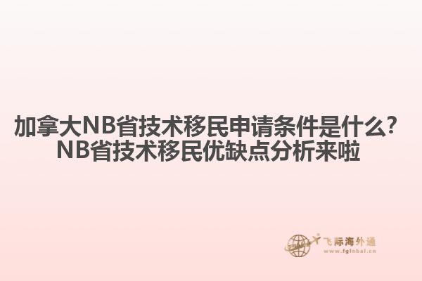 加拿大NB省技術(shù)移民申請條件是什么？NB省技術(shù)移民優(yōu)缺點分析來啦 