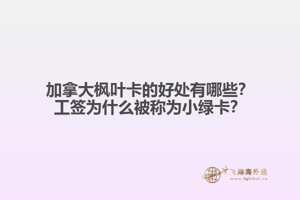 加拿大楓葉卡的好處有哪些？工簽為什么被稱為小綠卡？