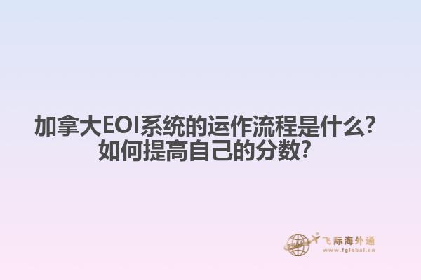 加拿大EOI系統(tǒng)的運(yùn)作流程是什么？如何提高自己的分?jǐn)?shù)？