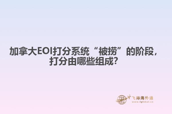 加拿大EOI打分系統(tǒng)“被撈”的階段，打分由哪些組成？