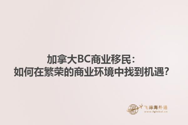 加拿大BC商業(yè)移民：如何在繁榮的商業(yè)環(huán)境中找到機(jī)遇？