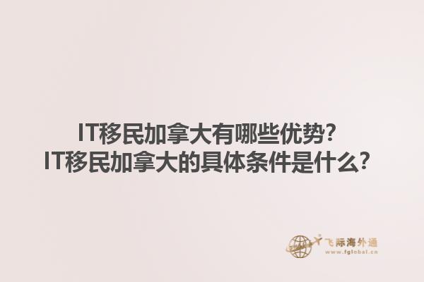 IT移民加拿大有哪些優(yōu)勢？IT移民加拿大的具體條件是什么？1.jpg