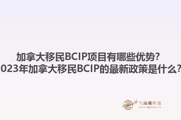 加拿大移民BCIP項目有哪些優(yōu)勢？2023年加拿大移民BCIP的最新政策是什么？1.jpg