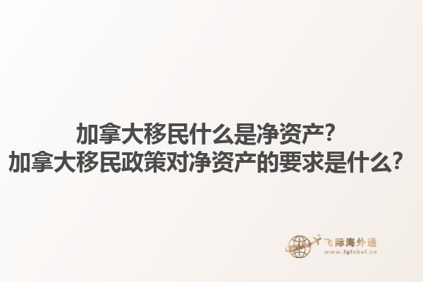 加拿大移民什么是凈資產(chǎn)？加拿大移民政策對(duì)凈資產(chǎn)的要求是什么？1.jpg