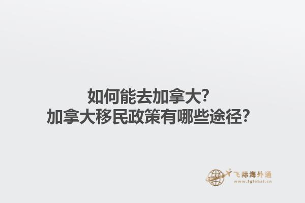 如何能去加拿大？加拿大移民政策有哪些途徑？
