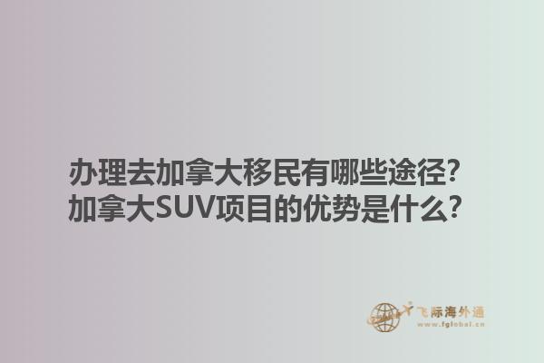 辦理去加拿大移民有哪些途徑？加拿大SUV項(xiàng)目的優(yōu)勢(shì)是什么？