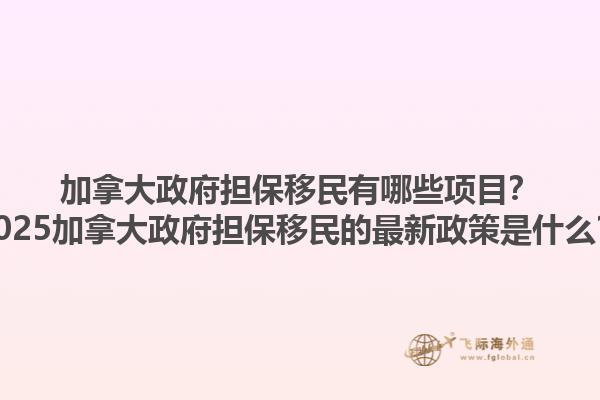 加拿大政府擔保移民有哪些項目？2025加拿大政府擔保移民的最新政策是什么？