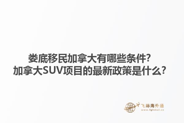 婁底移民加拿大有哪些條件？加拿大SUV項(xiàng)目的最新政策是什么？