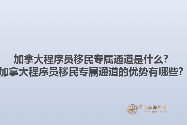 加拿大程序員移民專屬通道是什么？加拿大程序員移民專屬通道的優(yōu)勢有哪些？1.jpg
