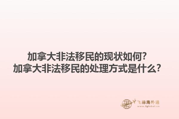 加拿大非法移民的現(xiàn)狀如何？加拿大非法移民的處理方式是什么？1.jpg