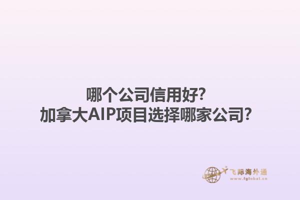 哪個公司信用好？加拿大AIP項目選擇哪家公司？