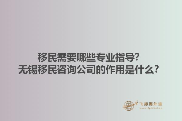 移民需要哪些專業(yè)指導(dǎo)？無錫移民咨詢公司的作用是什么？1.jpg