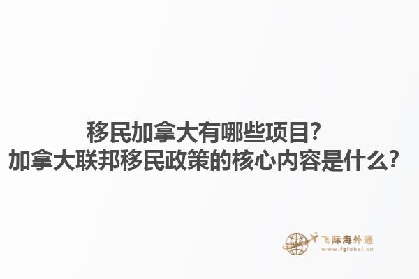 移民加拿大有哪些項目？加拿大聯(lián)邦移民政策的核心內(nèi)容是什么？1.jpg