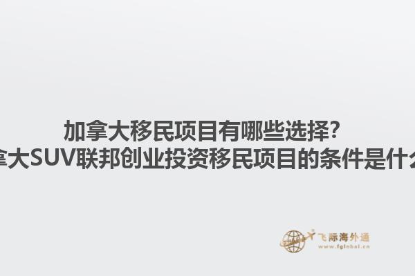 加拿大移民項(xiàng)目有哪些選擇？加拿大SUV聯(lián)邦創(chuàng)業(yè)投資移民項(xiàng)目的條件是什么？1.jpg