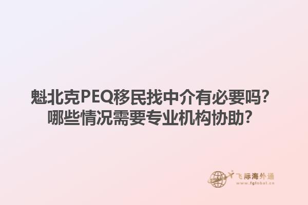 魁北克PEQ移民找中介有必要嗎？哪些情況需要專業(yè)機(jī)構(gòu)協(xié)助？1.jpg