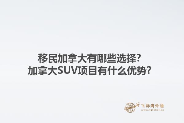 移民加拿大有哪些選擇？加拿大SUV項(xiàng)目有什么優(yōu)勢？1.jpg